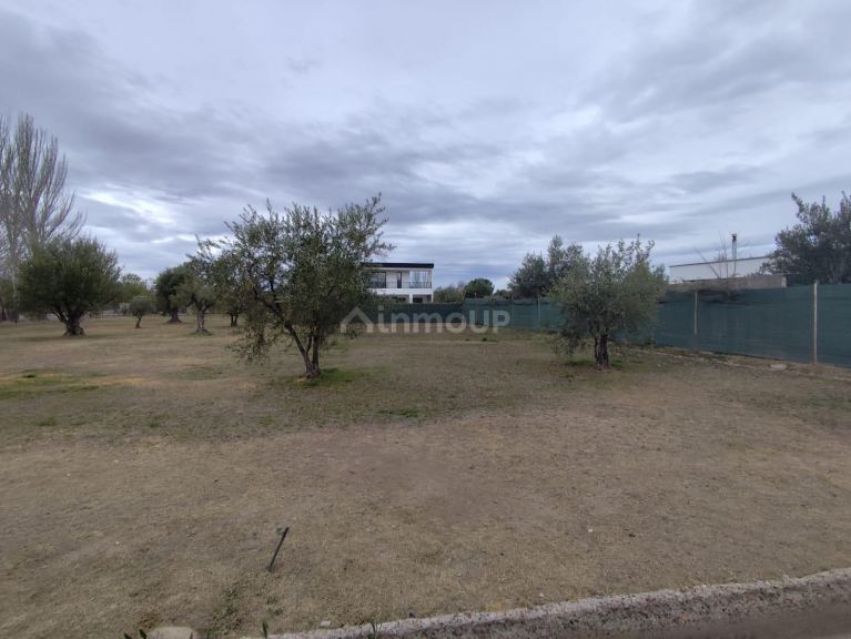 Terreno en Venta en Maipu, Mendoza