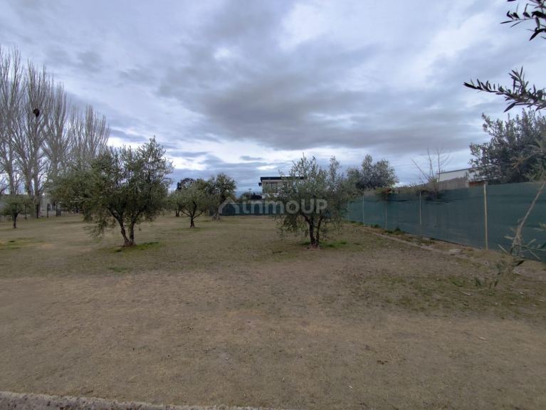 Terreno en Venta en Maipu, Mendoza