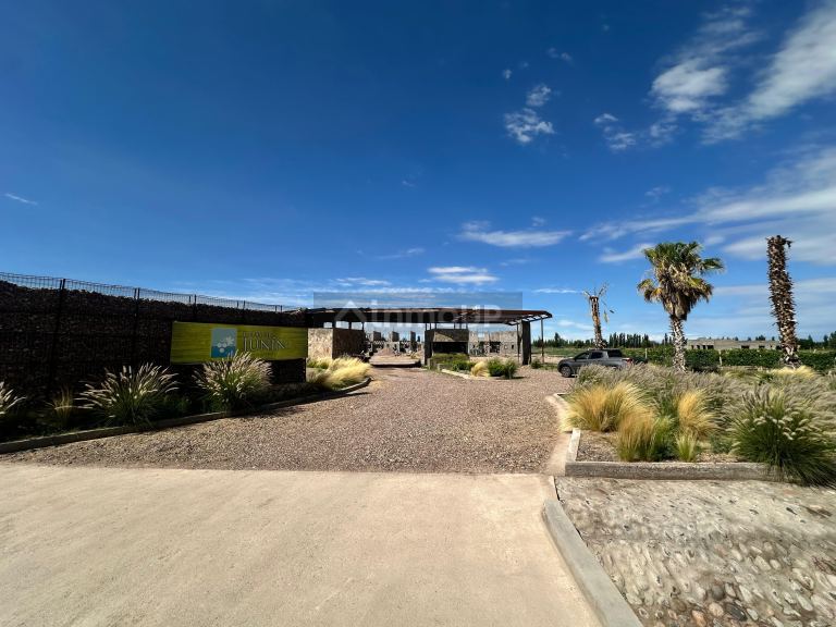 Lote en Venta en Junin, Mendoza