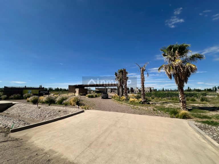 Lote en Venta en Junin, Mendoza