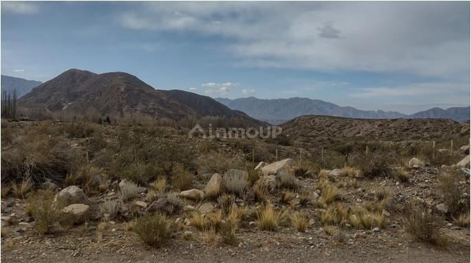Lote en Venta en Lujan de Cuyo, Mendoza