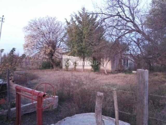 Finca en Venta en San Martin, Mendoza