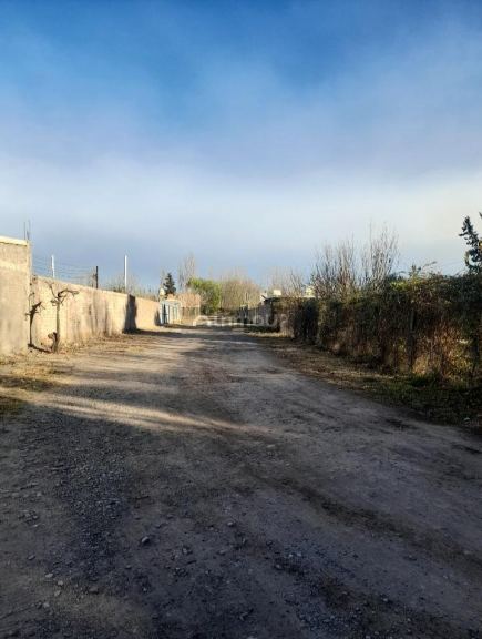 Lote en Venta en Lujan de Cuyo, Mendoza