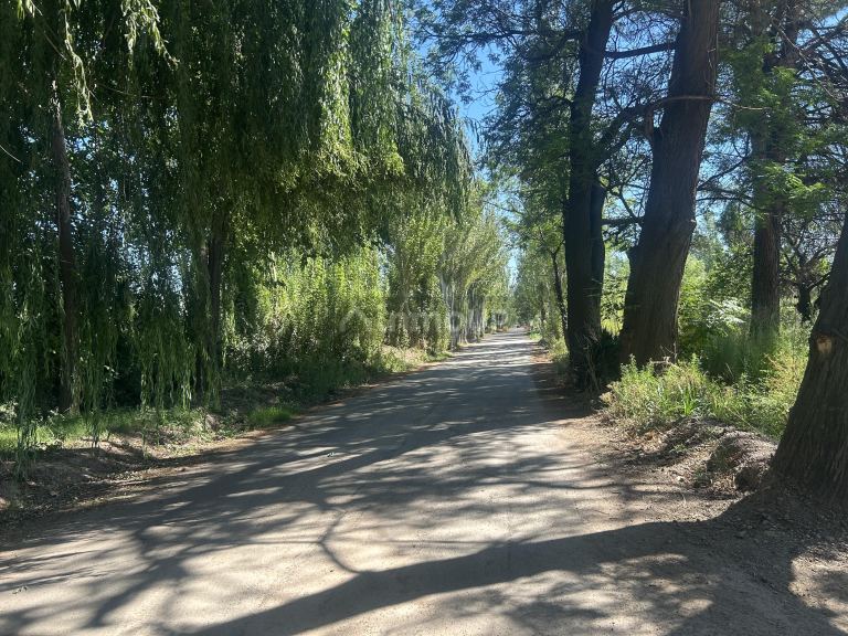 Lote en Venta en Lujan de Cuyo, Mendoza