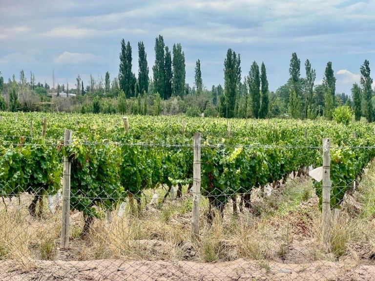 Casa en Venta en Lujan de Cuyo, Mendoza