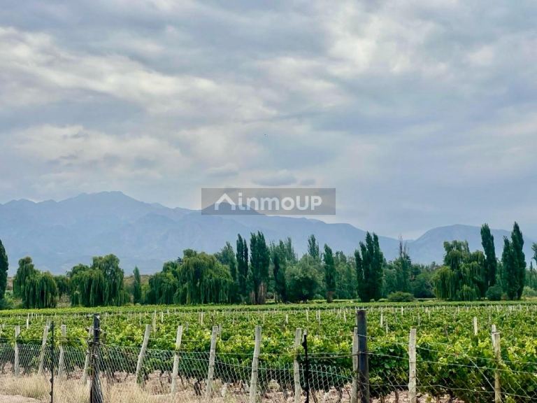 Casa en Venta en Lujan de Cuyo, Mendoza