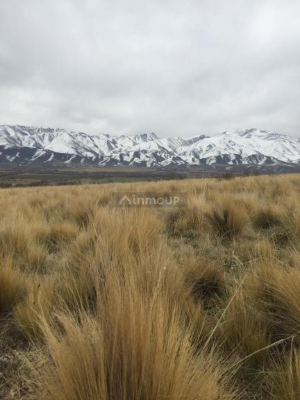 Terreno en Venta en Tupungato, Mendoza