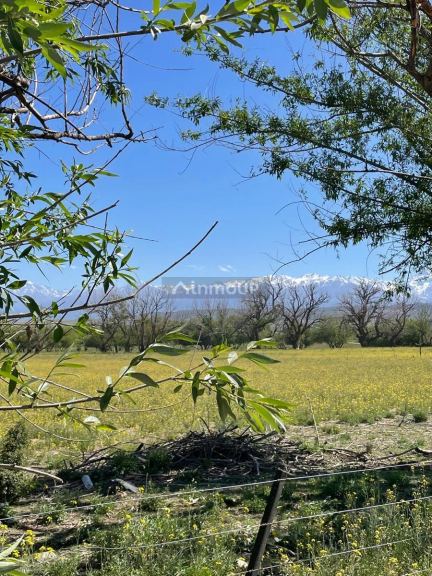 Tupungato La Carrera - Estancia Atamisque