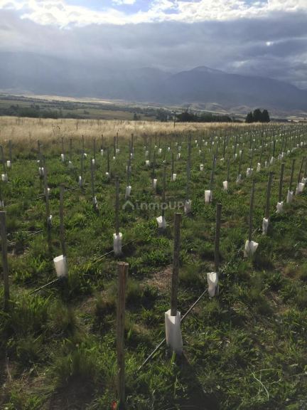 Terreno en Venta en Tupungato, Mendoza