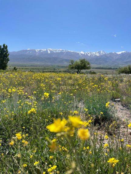 Tupungato La Carrera - Estancia Atamisque
