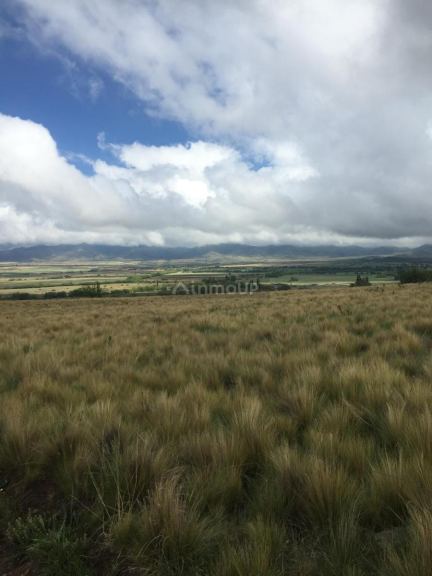 Tupungato La Carrera - Estancia Atamisque