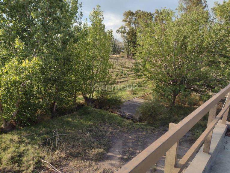 Finca en Venta en Rivadavia, Mendoza