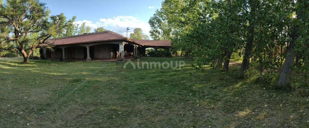 Finca en Venta en Rivadavia, Mendoza