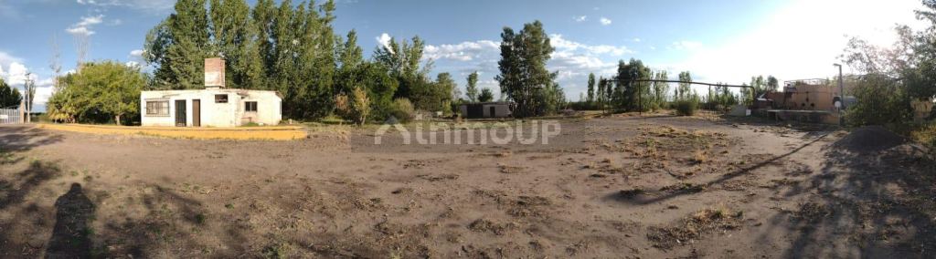 Finca en Venta en Rivadavia, Mendoza