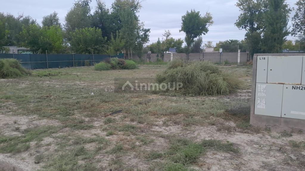 Lote en Venta en Lujan de Cuyo, Mendoza