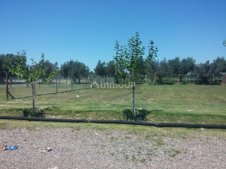 Guaymallen  Las Palmas 2, Severo del Castillo 8471