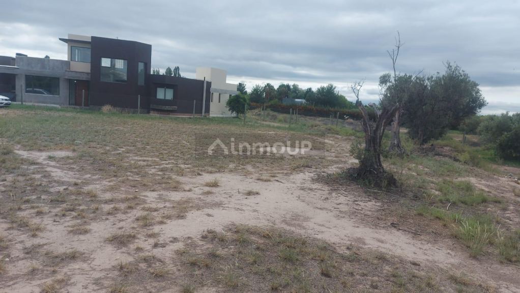 Lote en Venta en Lujan de Cuyo, Mendoza