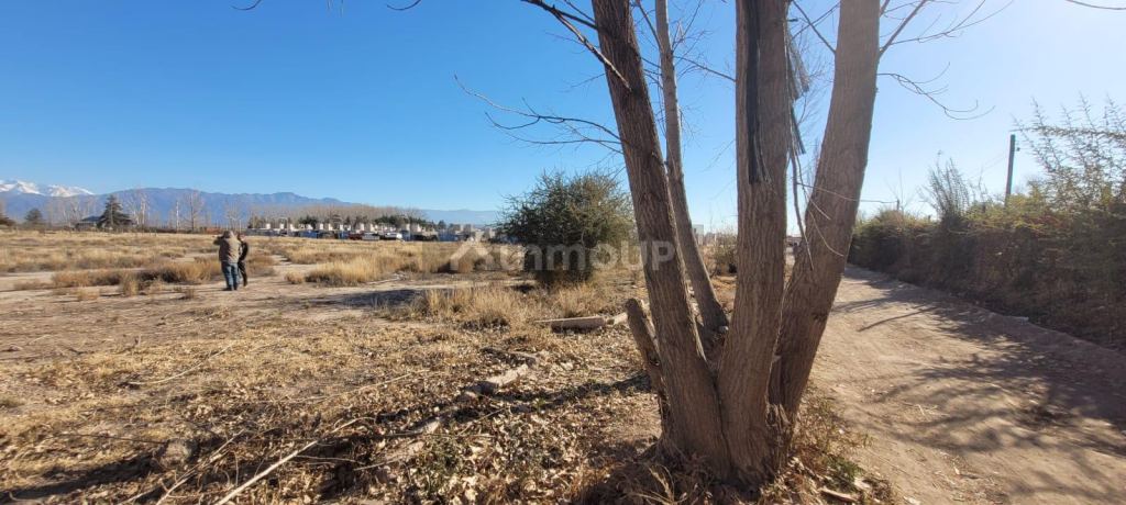 Lote en Venta en Lujan de Cuyo, Mendoza