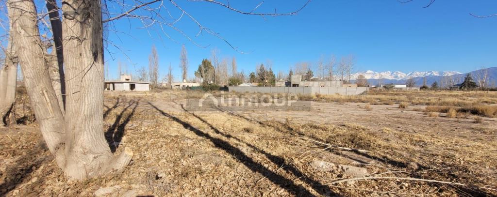 Lote en Venta en Lujan de Cuyo, Mendoza