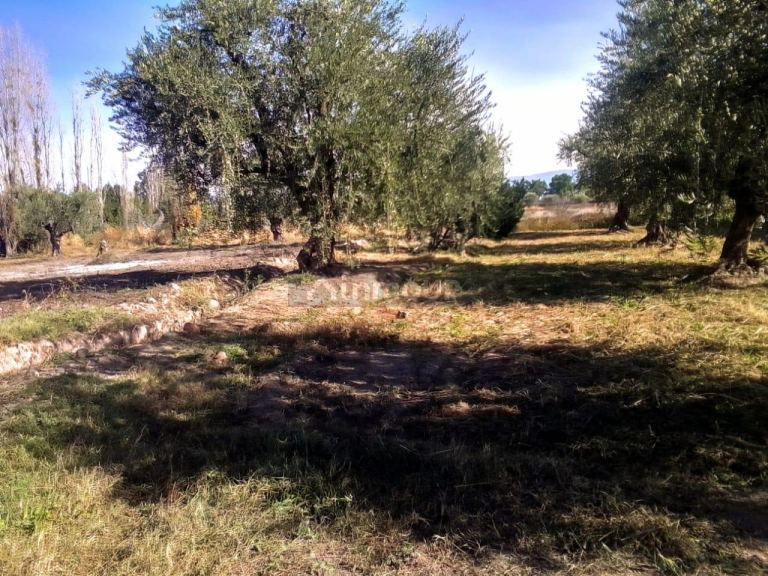 Lote en Venta en Maipu, Mendoza