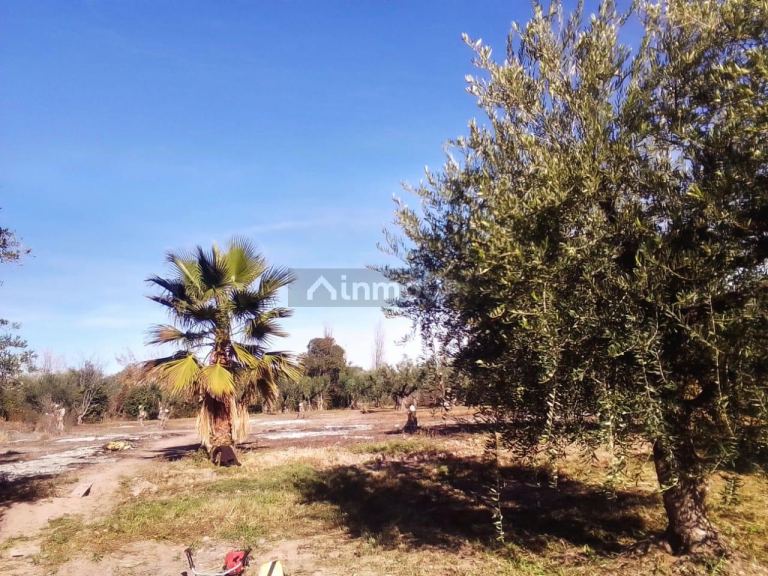Lote en Venta en Maipu, Mendoza
