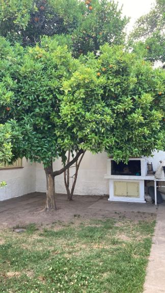 Casa en Alquiler en Godoy Cruz, Mendoza