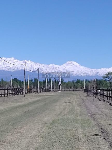 Lote en Venta en Tunuyan, Mendoza