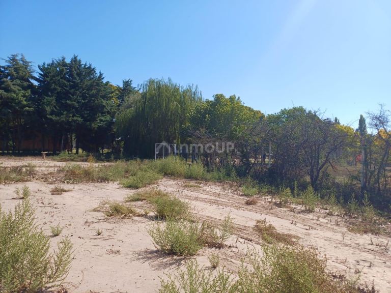 Lote en Venta en Lujan de Cuyo, Mendoza