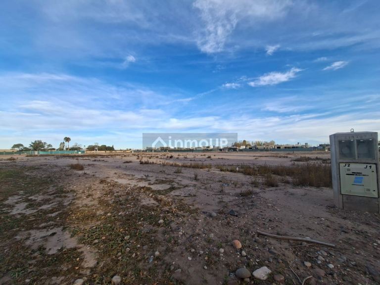 Lote en Venta en Lujan de Cuyo, Mendoza