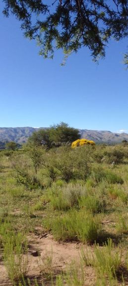 Campo en Venta en El Volcan, San Luis