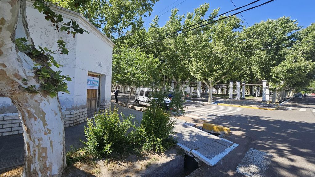 Casa en Venta en Santa Rosa, Mendoza