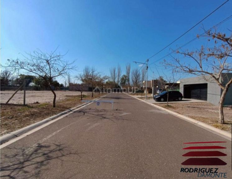 Lote en Venta en Lujan de Cuyo, Mendoza