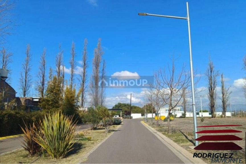 Lote en Venta en Lujan de Cuyo, Mendoza