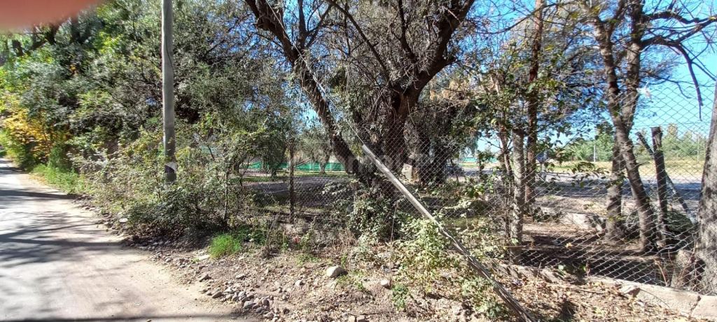 Lote en Venta en Lujan de Cuyo, Mendoza