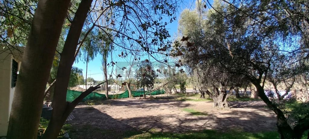 Lote en Venta en Lujan de Cuyo, Mendoza