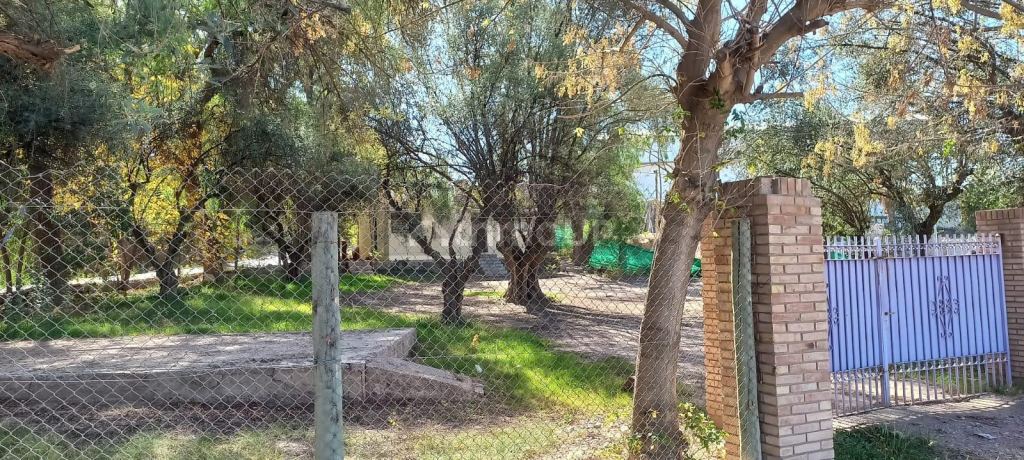 Lote en Venta en Lujan de Cuyo, Mendoza