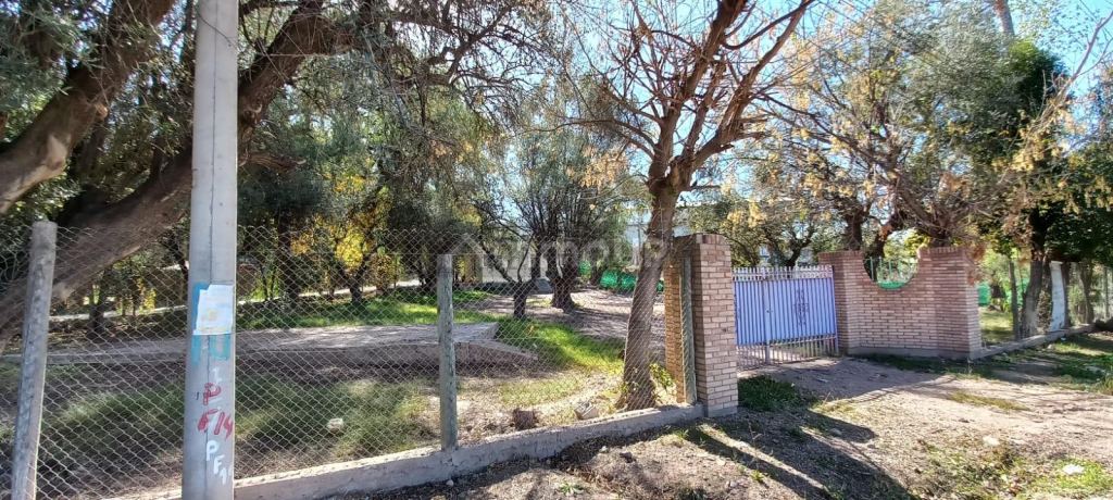Lote en Venta en Lujan de Cuyo, Mendoza
