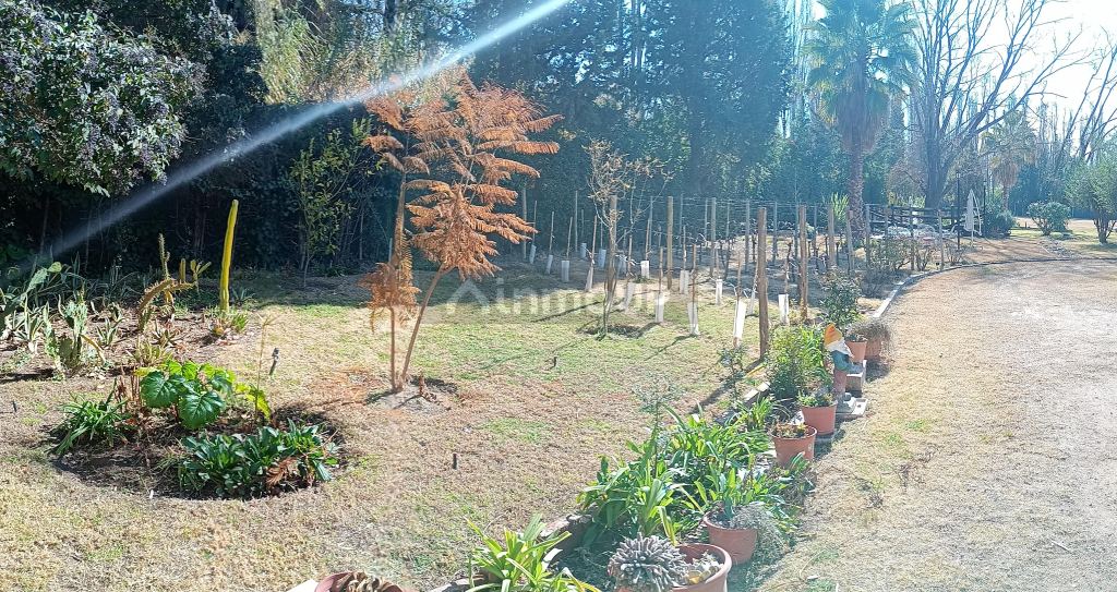Chalet en Venta en Lujan de Cuyo, Mendoza
