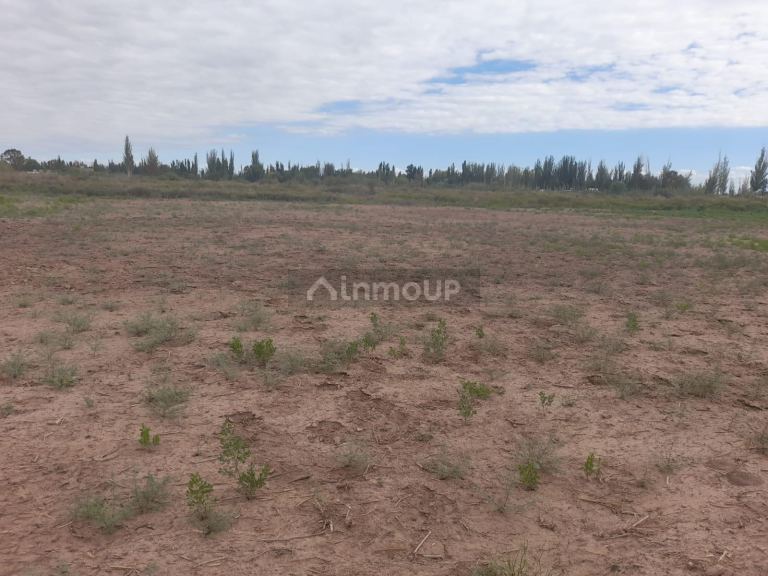 Lote en Venta en Lavalle, Mendoza