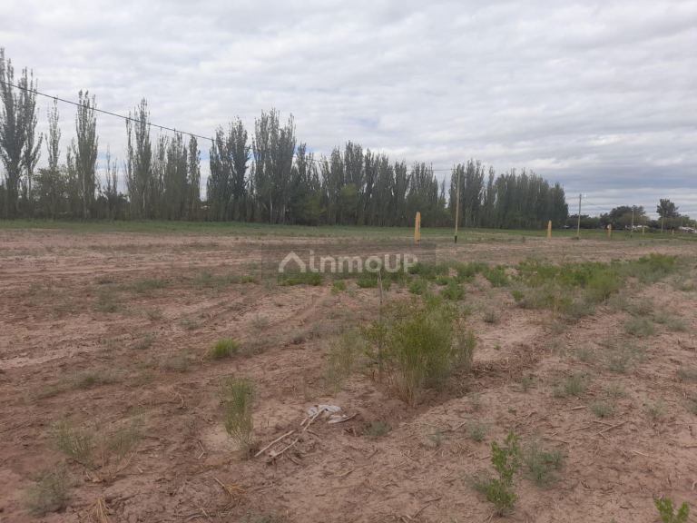 Lote en Venta en Lavalle, Mendoza