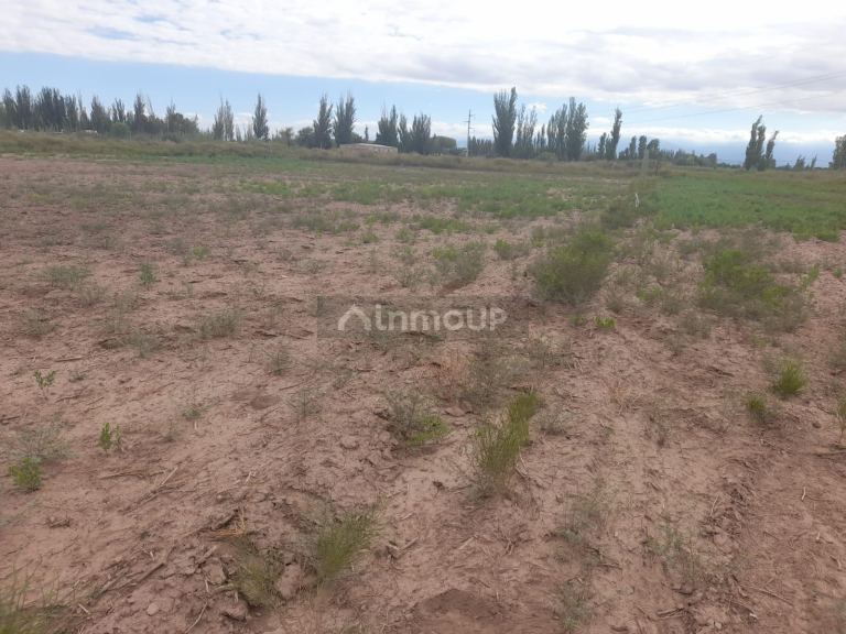 Lote en Venta en Lavalle, Mendoza