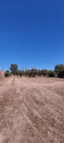 Lote en Venta en Lujan de Cuyo, Mendoza