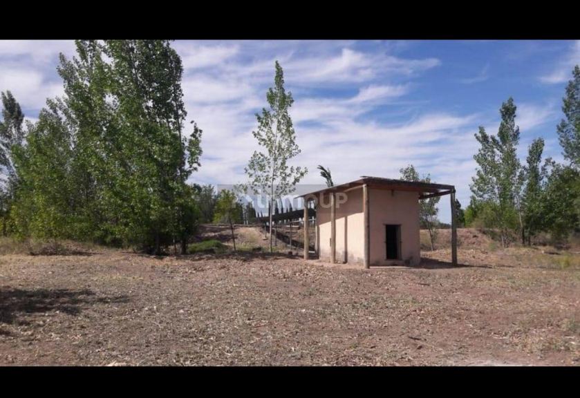 Finca en Venta en General alvear, Mendoza