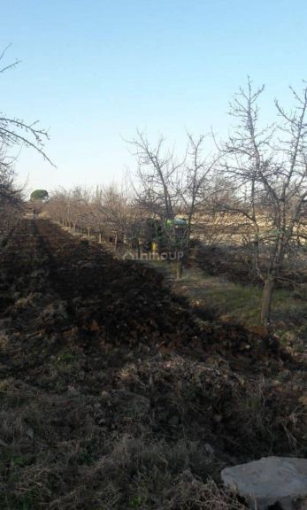 Finca en Venta en General alvear, Mendoza