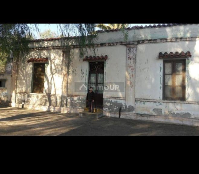 Finca en Venta en General alvear, Mendoza
