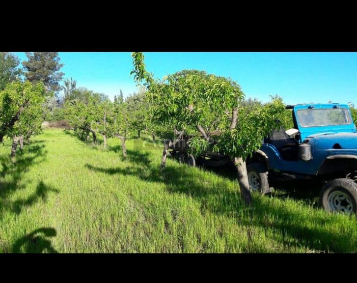 Finca en Venta en General alvear, Mendoza