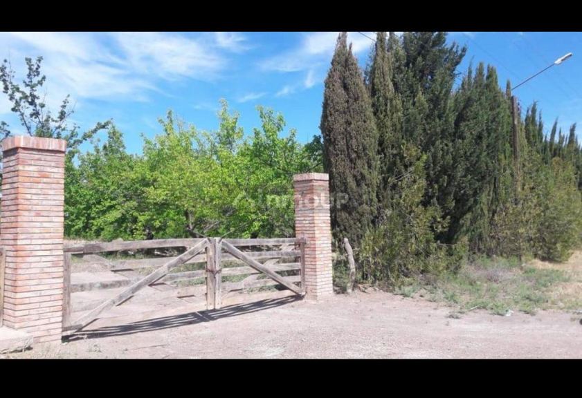 Finca en Venta en General alvear, Mendoza