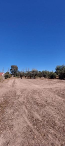 Lote en Venta en Lujan de Cuyo, Mendoza