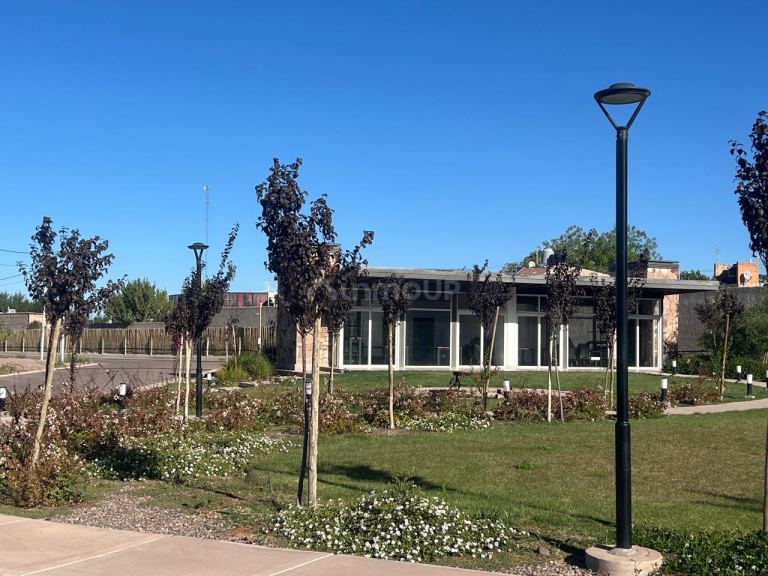 Lote en Venta en Lujan de Cuyo, Mendoza