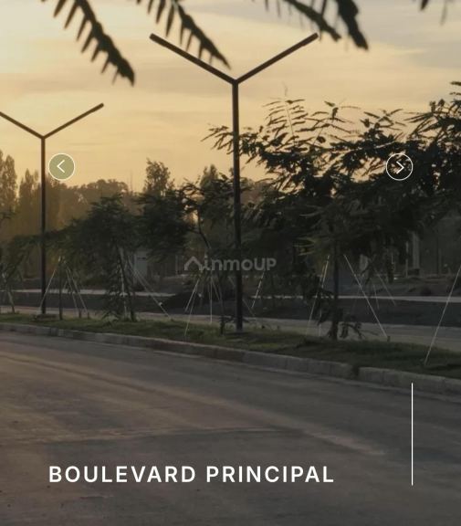 Lote en Venta en Lujan de Cuyo, Mendoza